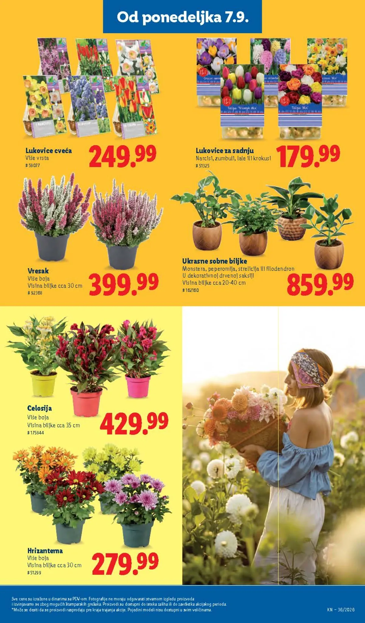 LIDL katalog do 09.09.2026. – strana 83