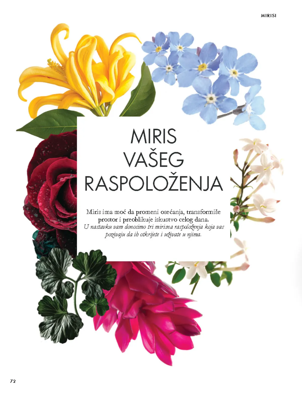 Oriflame katalog 07.10–17.11.2026, strana 72 – Vodič kroz mirise i različita mirisna raspoloženja.