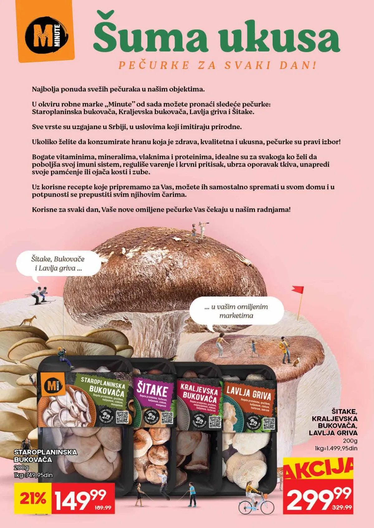 RODA katalog strana 4 – beli šampinjoni i bukovače na akciji