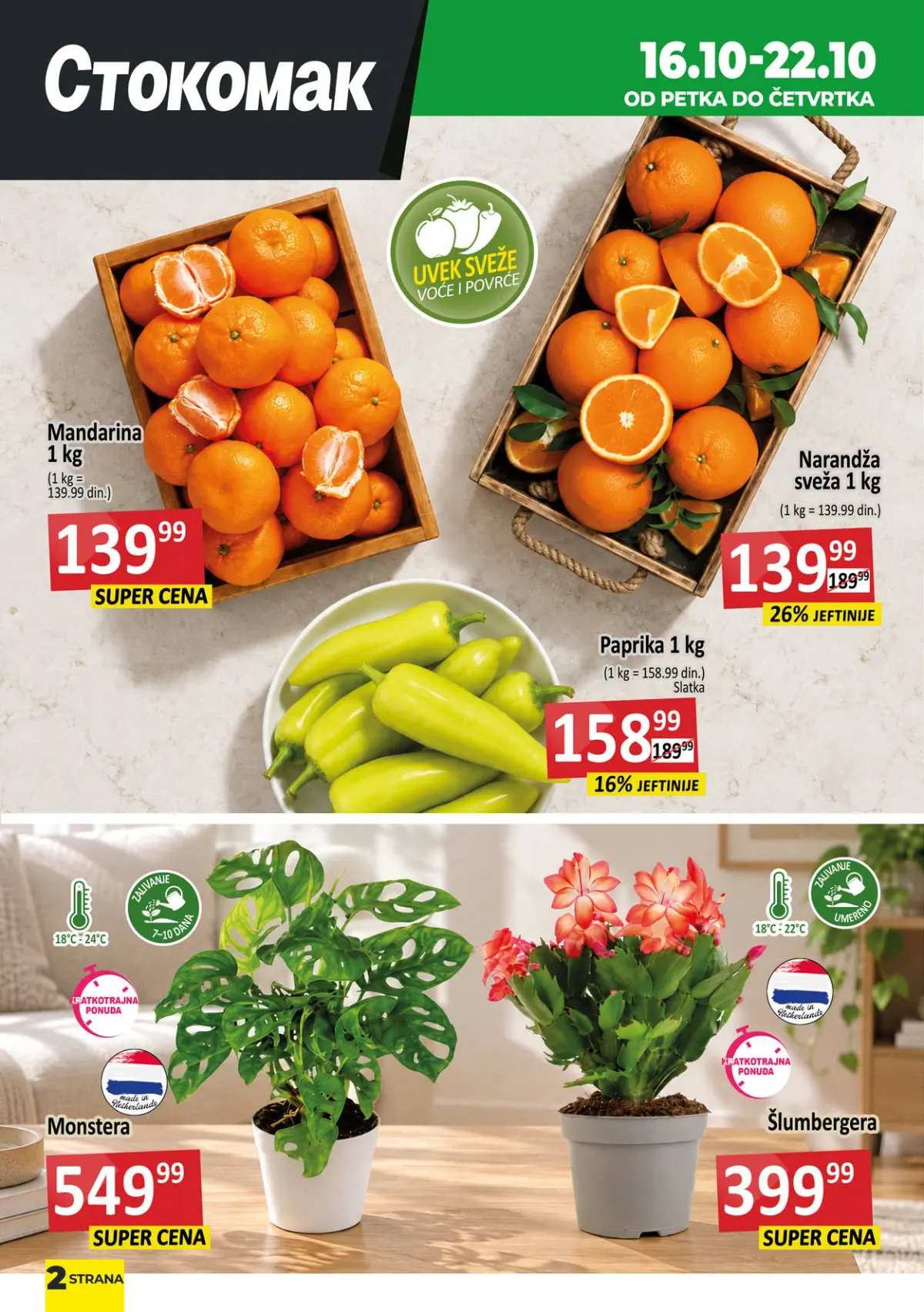 Stokomak ponuda 16–22.10.2026. – mandarine, narandže, slatka paprika, monstera i šlumbergera